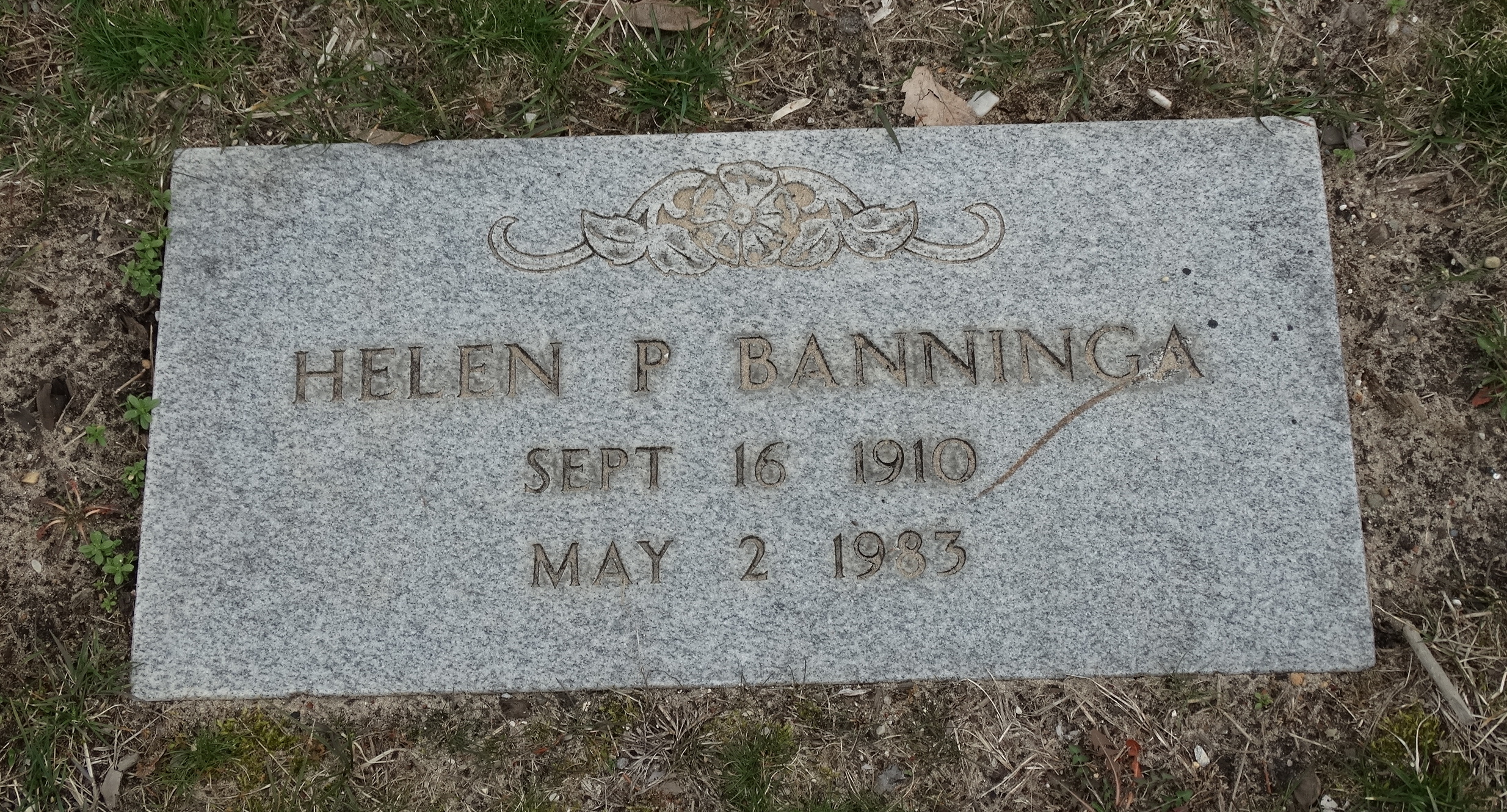 helen t. Banninga-Canning on 2 Apr 2017.